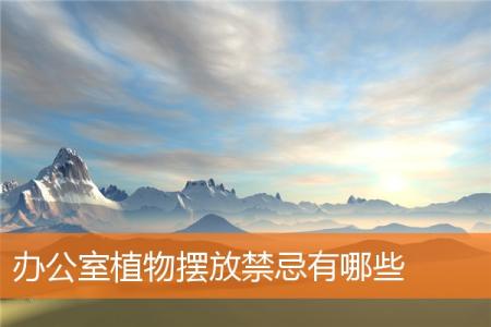 办公室植物摆放禁忌有哪些